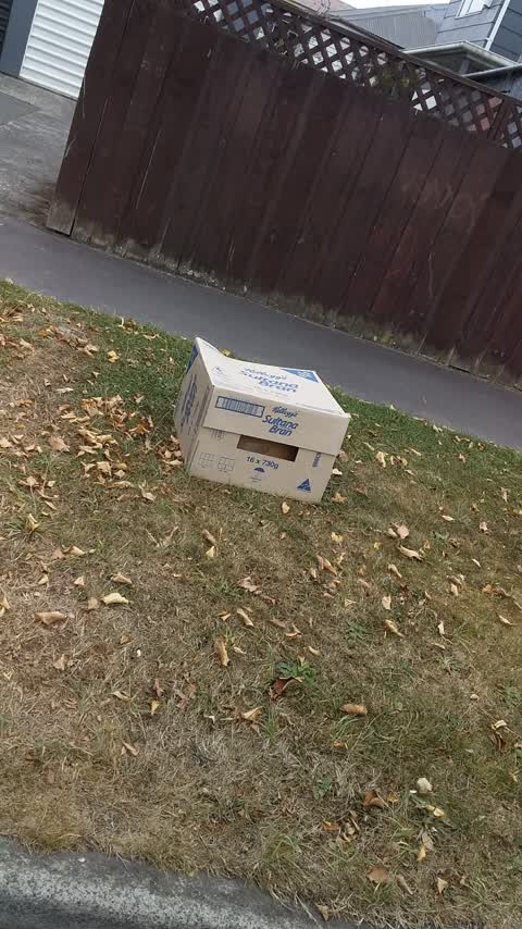Rubbish/Recycling, a report photo