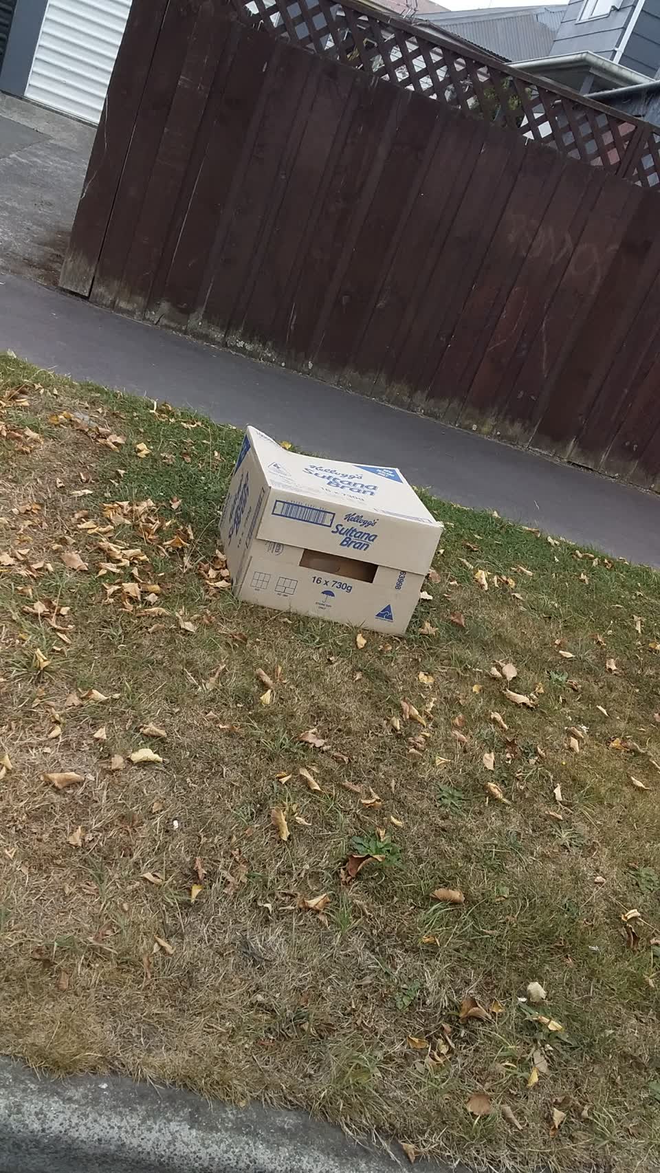 The photograph attached to this rubbish/recycling report