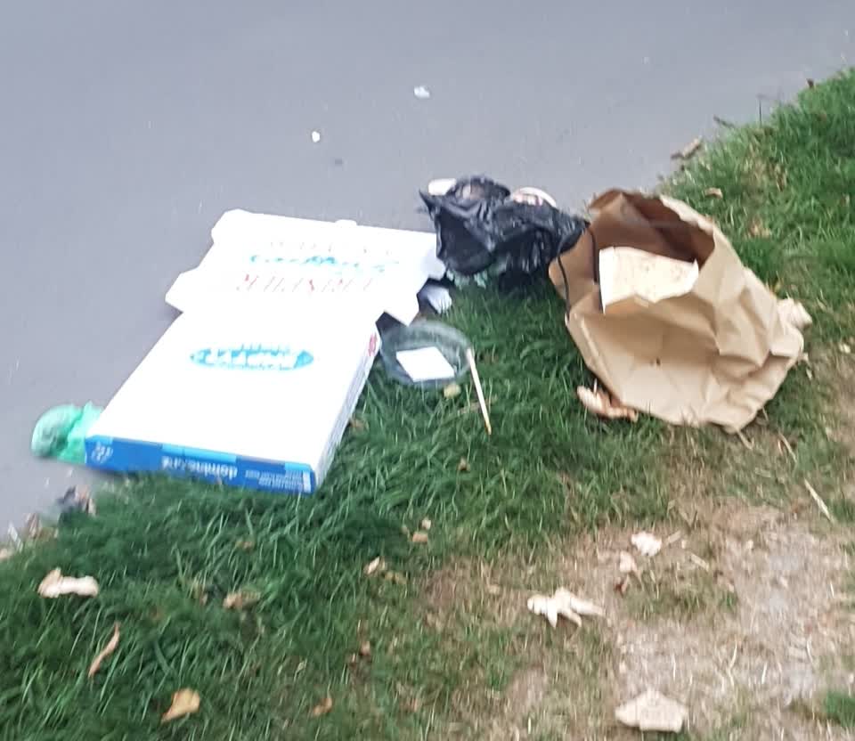 The photograph attached to this rubbish/recycling report