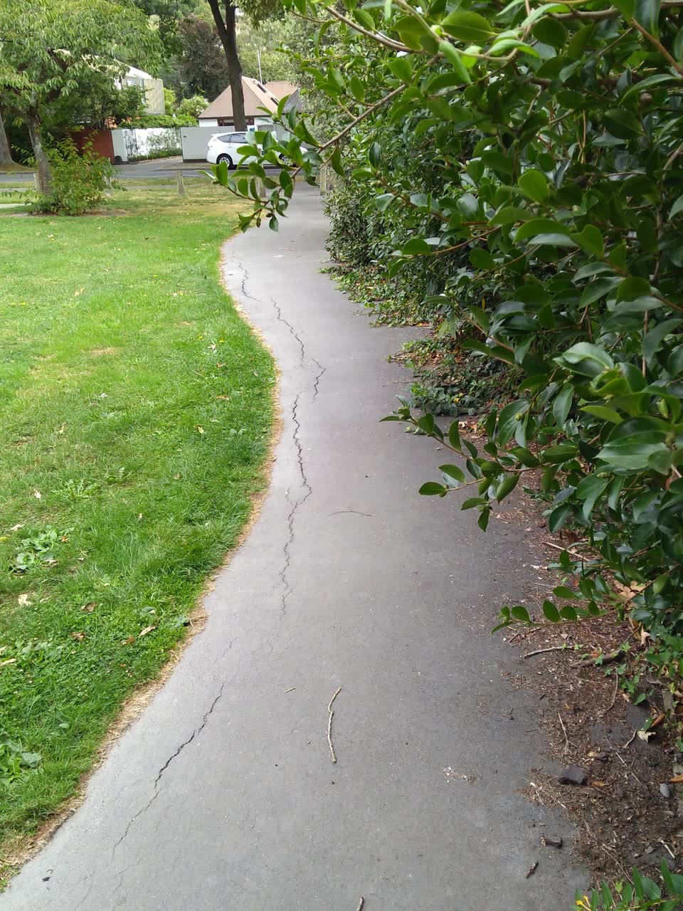 The photograph attached to this parks report