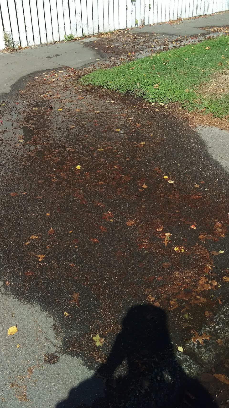 The photograph attached to this flooding report