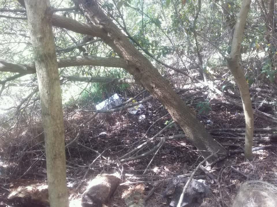 The photograph attached to this parks report