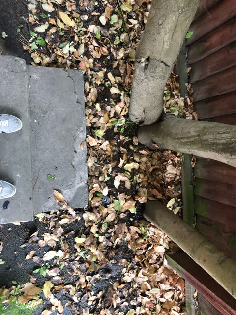 Flooding, a report photo