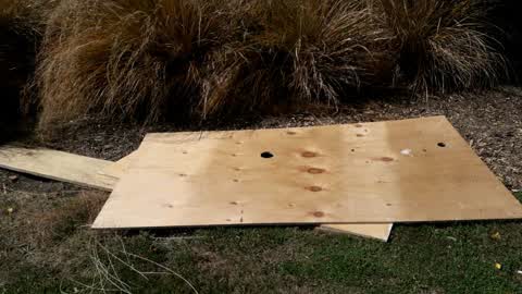 Parks, a report photo