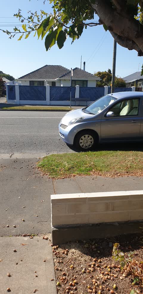 Roading/Streets, a report photo