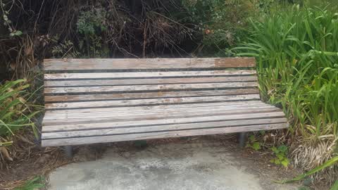 Parks, a report photo