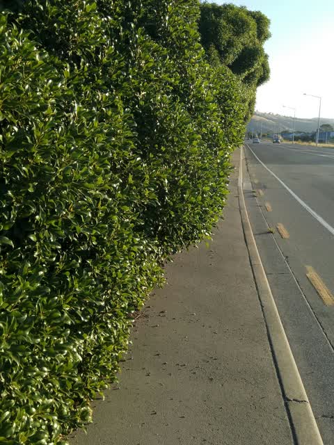 Roading/Streets — a report photo
