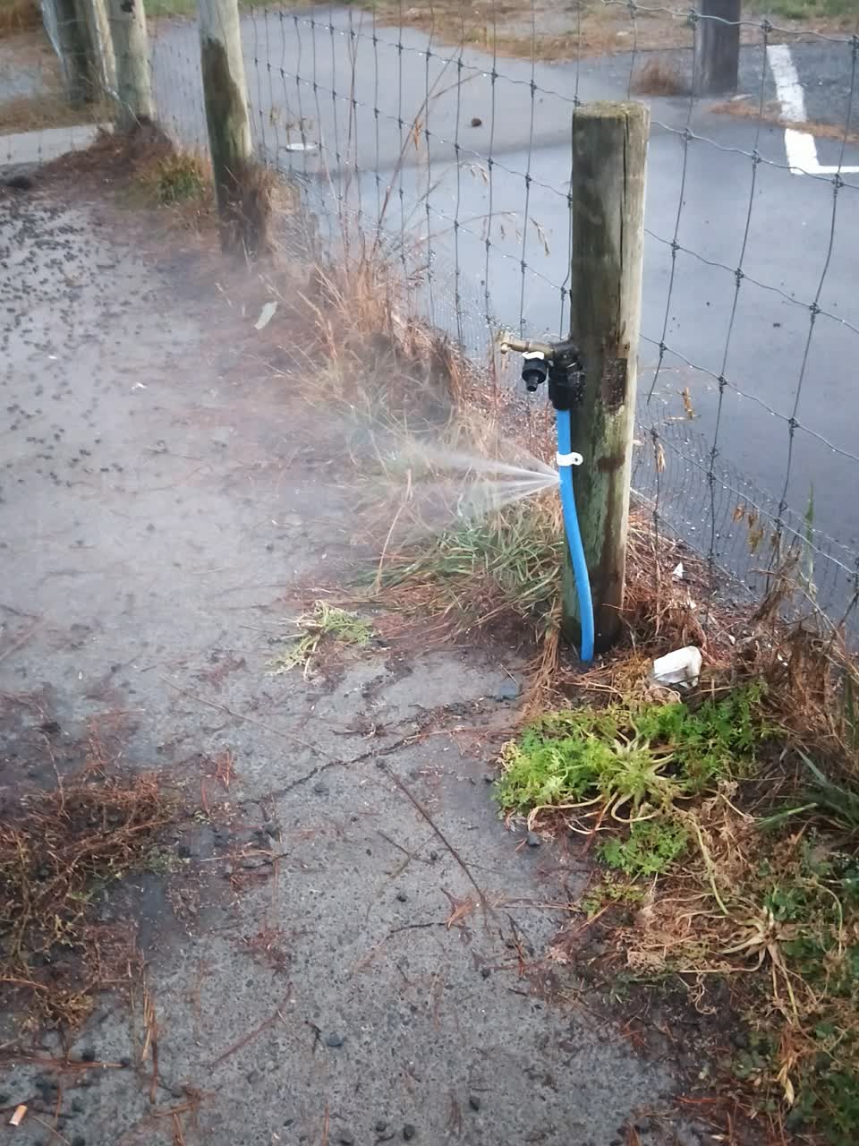 The photograph attached to this parks report