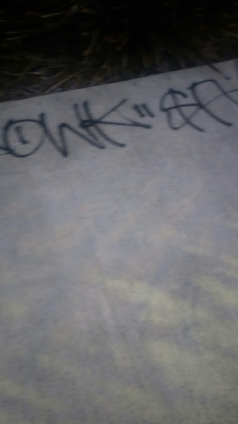 The photograph attached to this graffiti report
