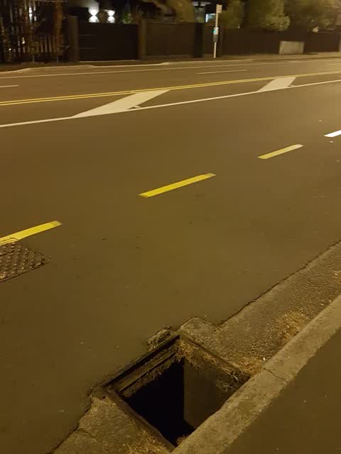 Roading/Streets, a report photo