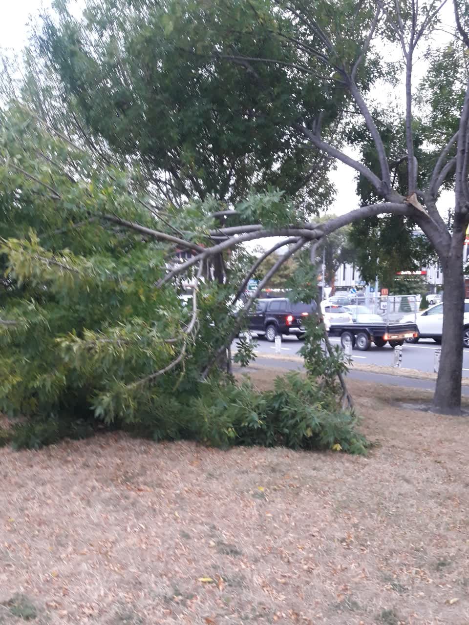 The photograph attached to this parks report