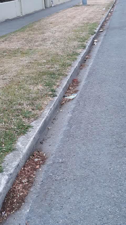 Roading/Streets, a report photo