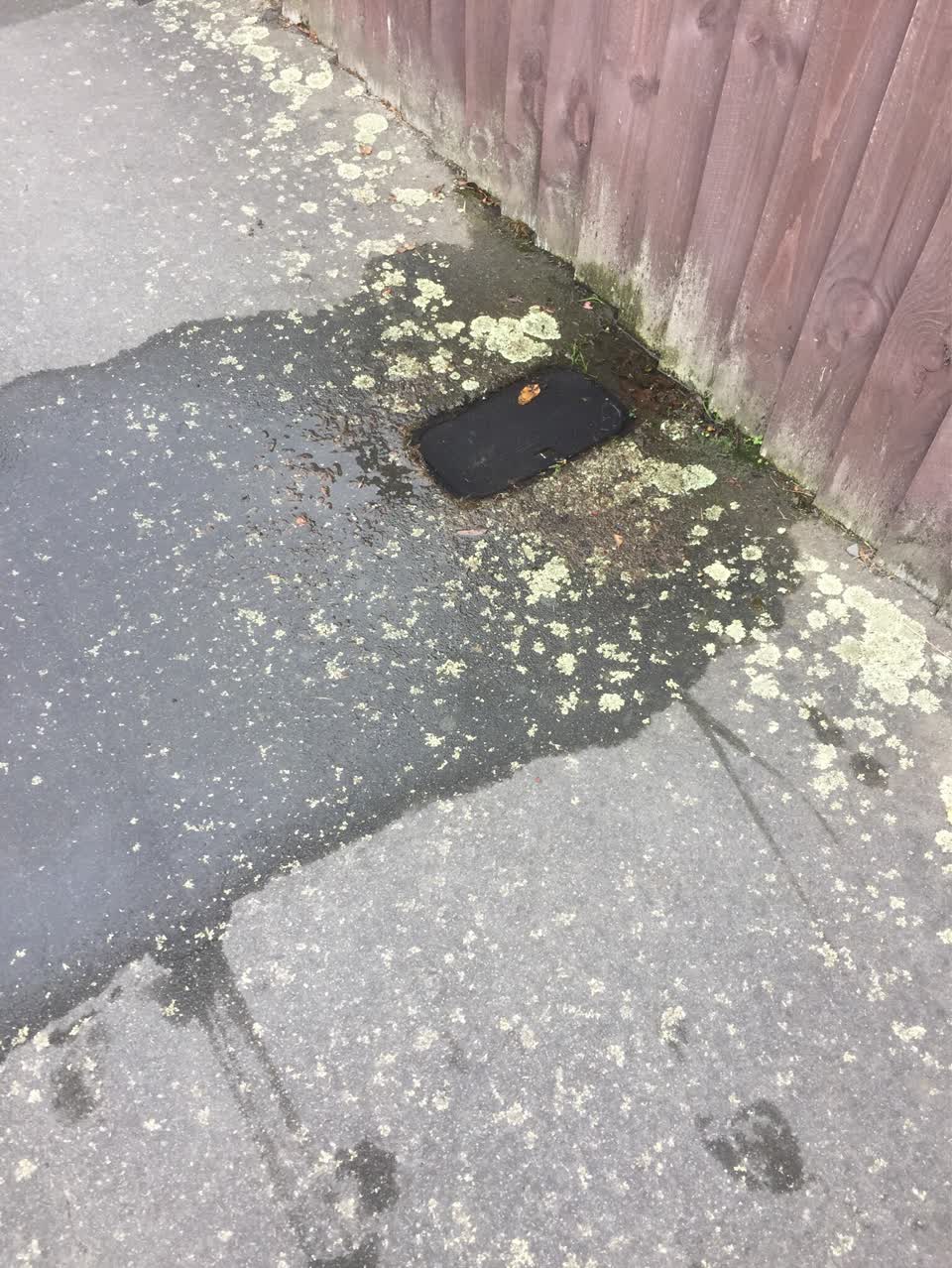 The photograph attached to this water supply report
