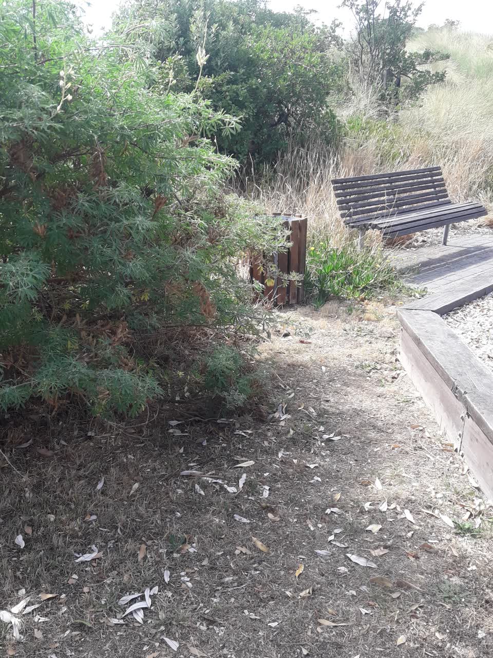 The photograph attached to this parks report