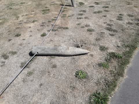 Parks, a report photo