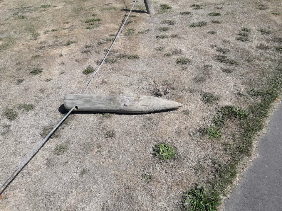 The photograph attached to this parks report