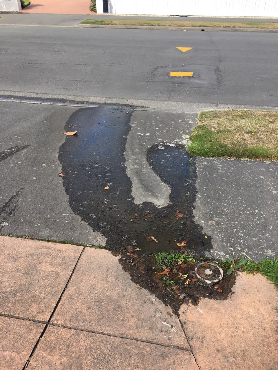 The photograph attached to this water supply report