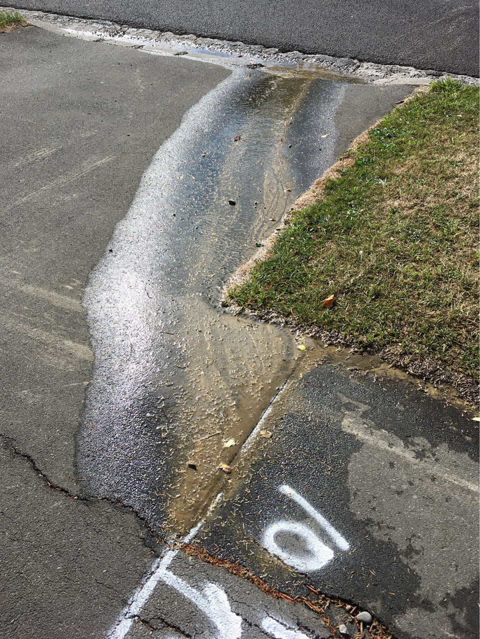 The photograph attached to this water supply report