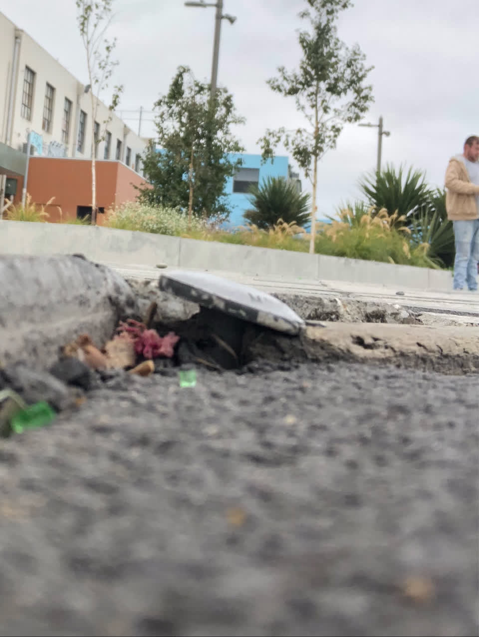 The photograph attached to this parks report