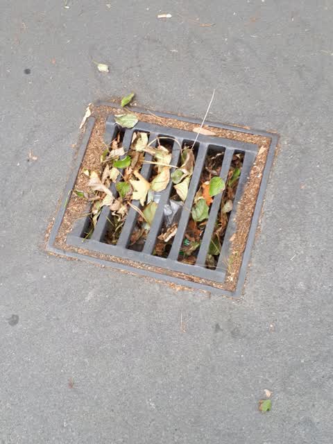 Wastewater/Stormwater — a report photo