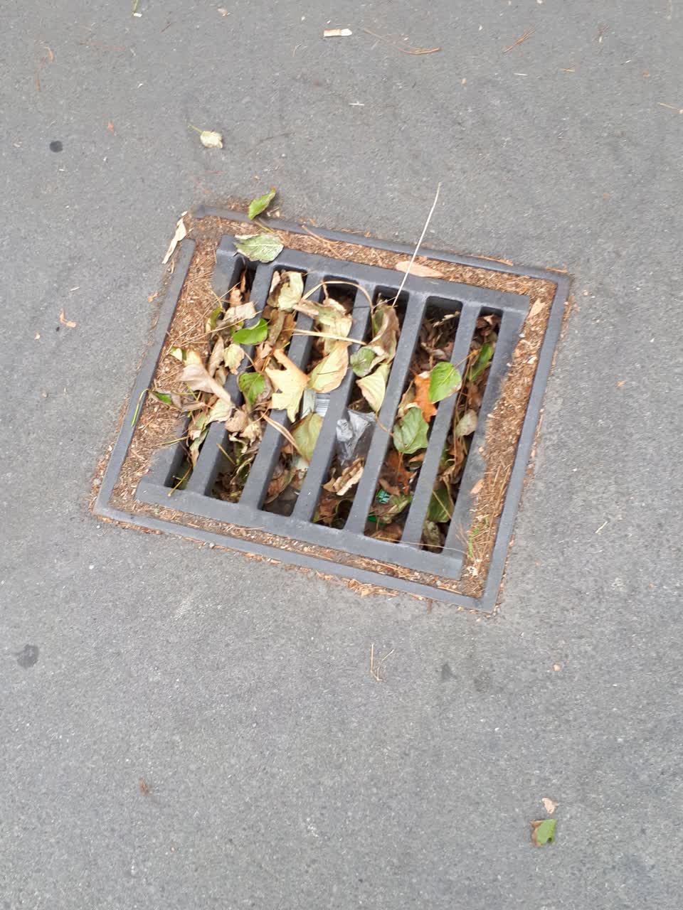The photograph attached to this wastewater/stormwater report