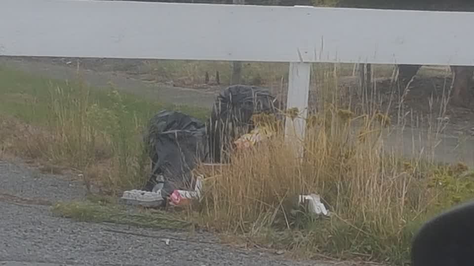 The photograph attached to this rubbish/recycling report
