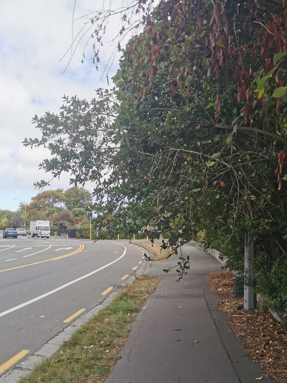The photograph attached to this parks report