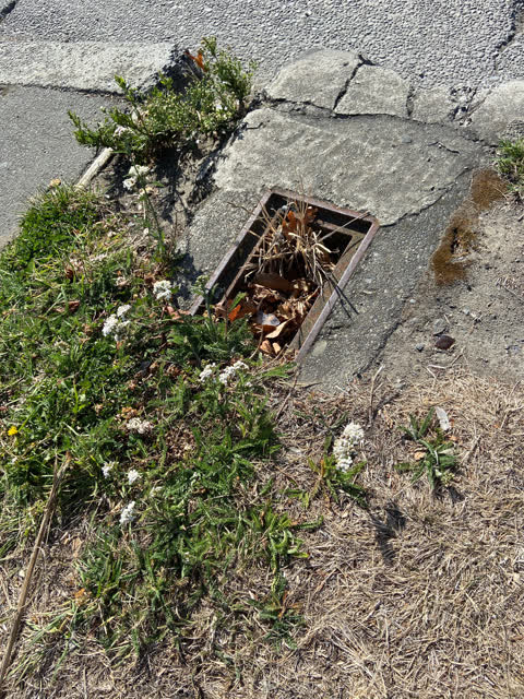 Roading/Streets, a report photo