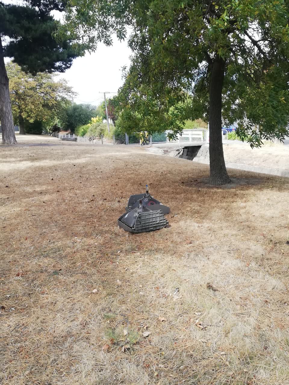 The photograph attached to this parks report