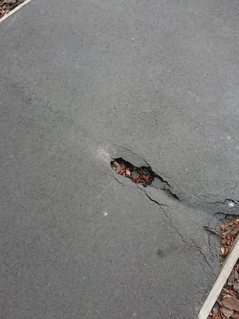 Roading/Streets, a report photo