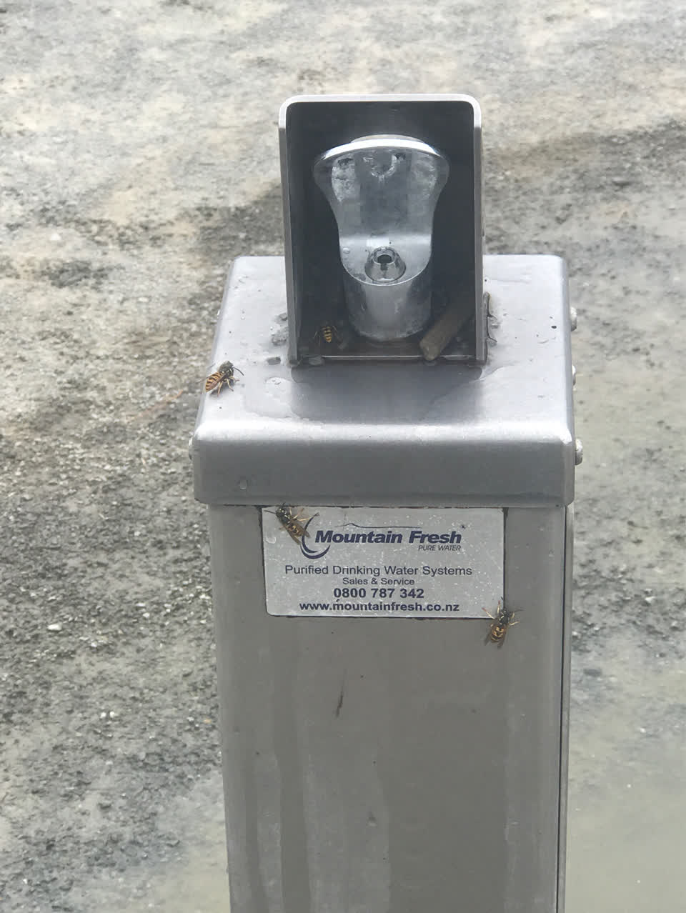 The photograph attached to this water supply report