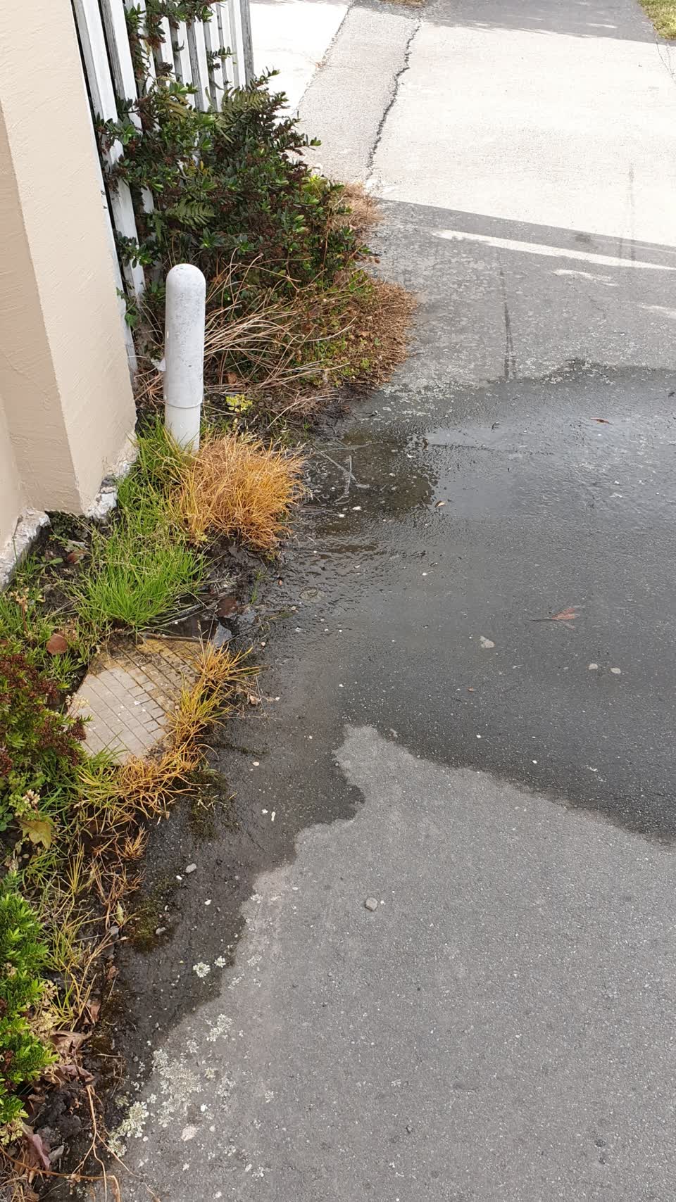 The photograph attached to this water supply report