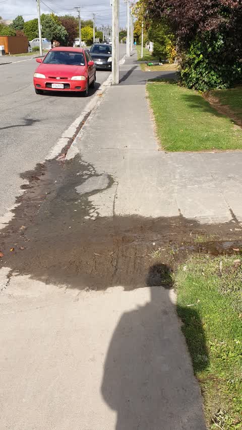 Water Supply, a report photo