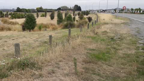 Parks, a report photo