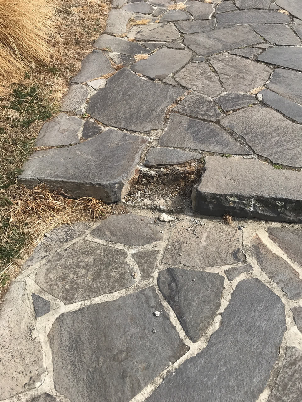 The photograph attached to this parks report
