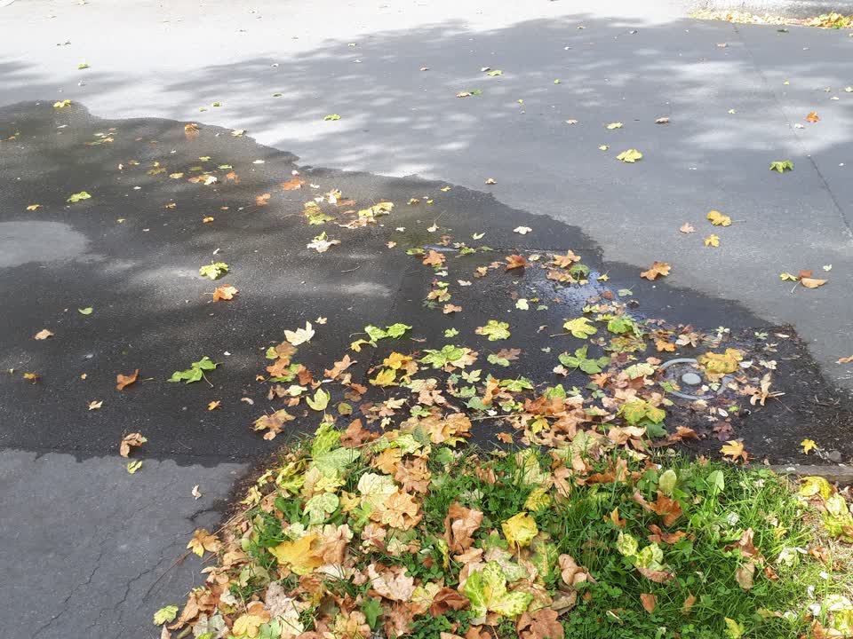 The photograph attached to this water supply report