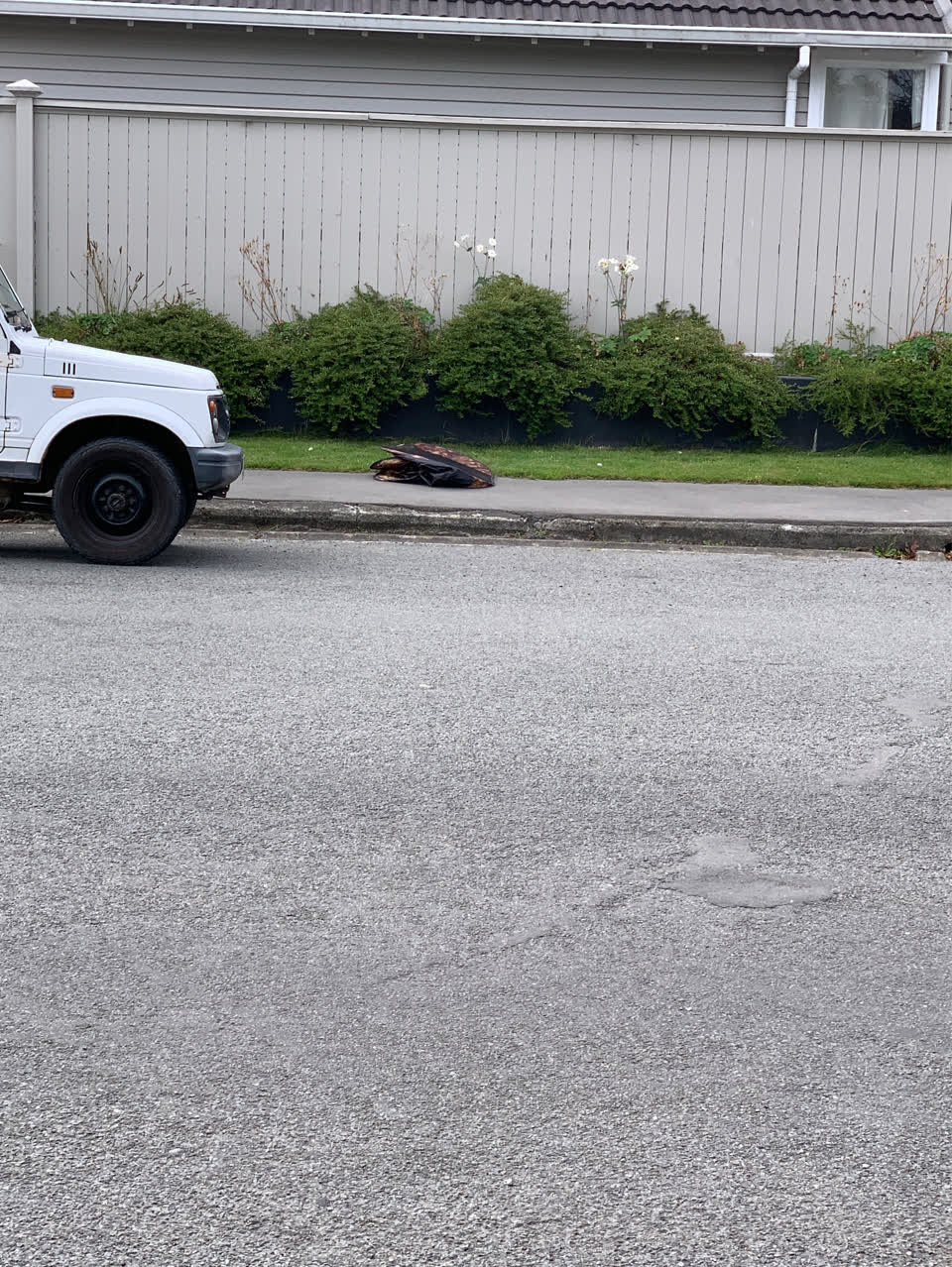 The photograph attached to this roading/streets report