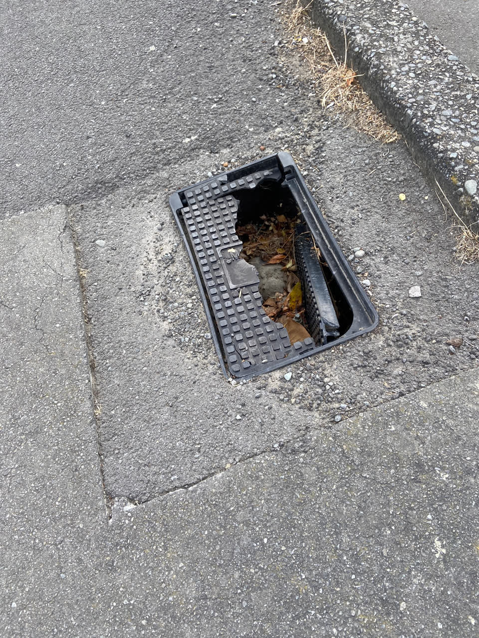 The photograph attached to this roading/streets report