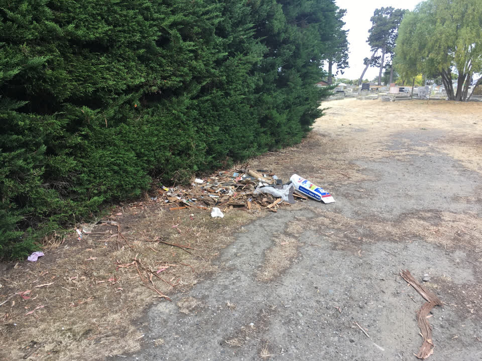 The photograph attached to this parks report