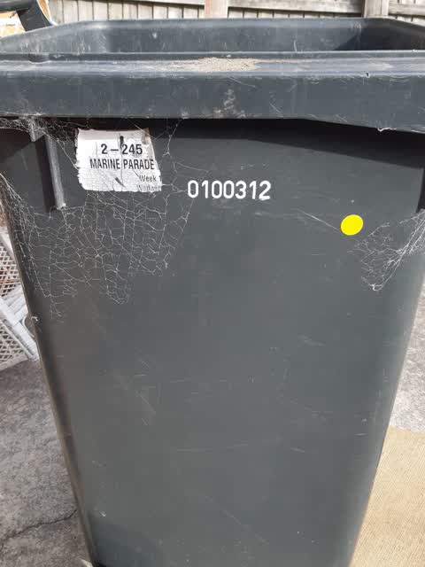Rubbish/Recycling, a report photo