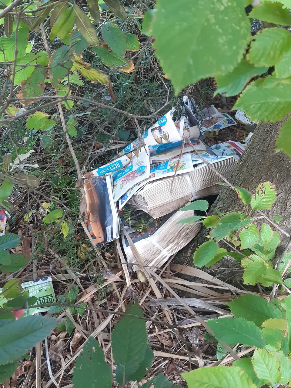 The photograph attached to this parks report