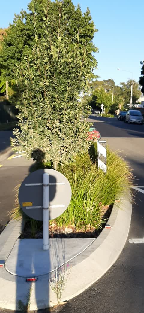 Roading/Streets — a report photo