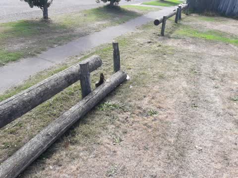 Parks — a report photo