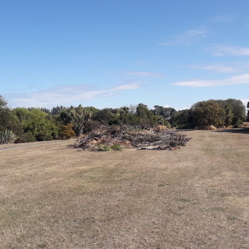 The photograph attached to this parks report