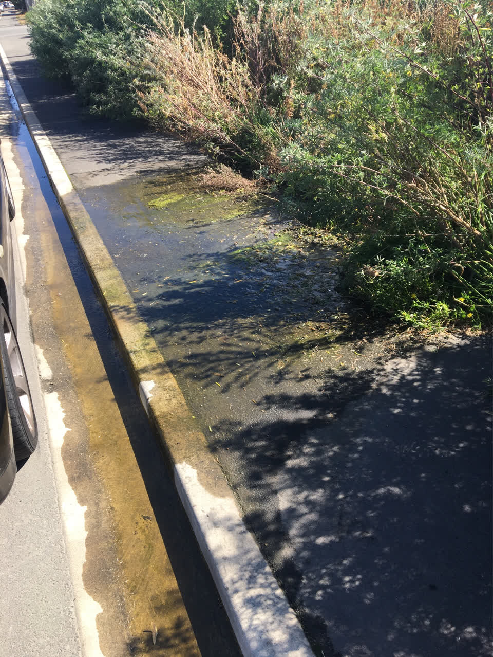 The photograph attached to this water supply report