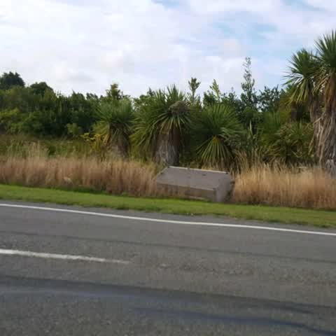 Rubbish/Recycling, a report photo