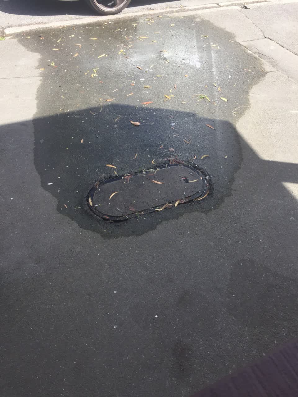 The photograph attached to this water supply report