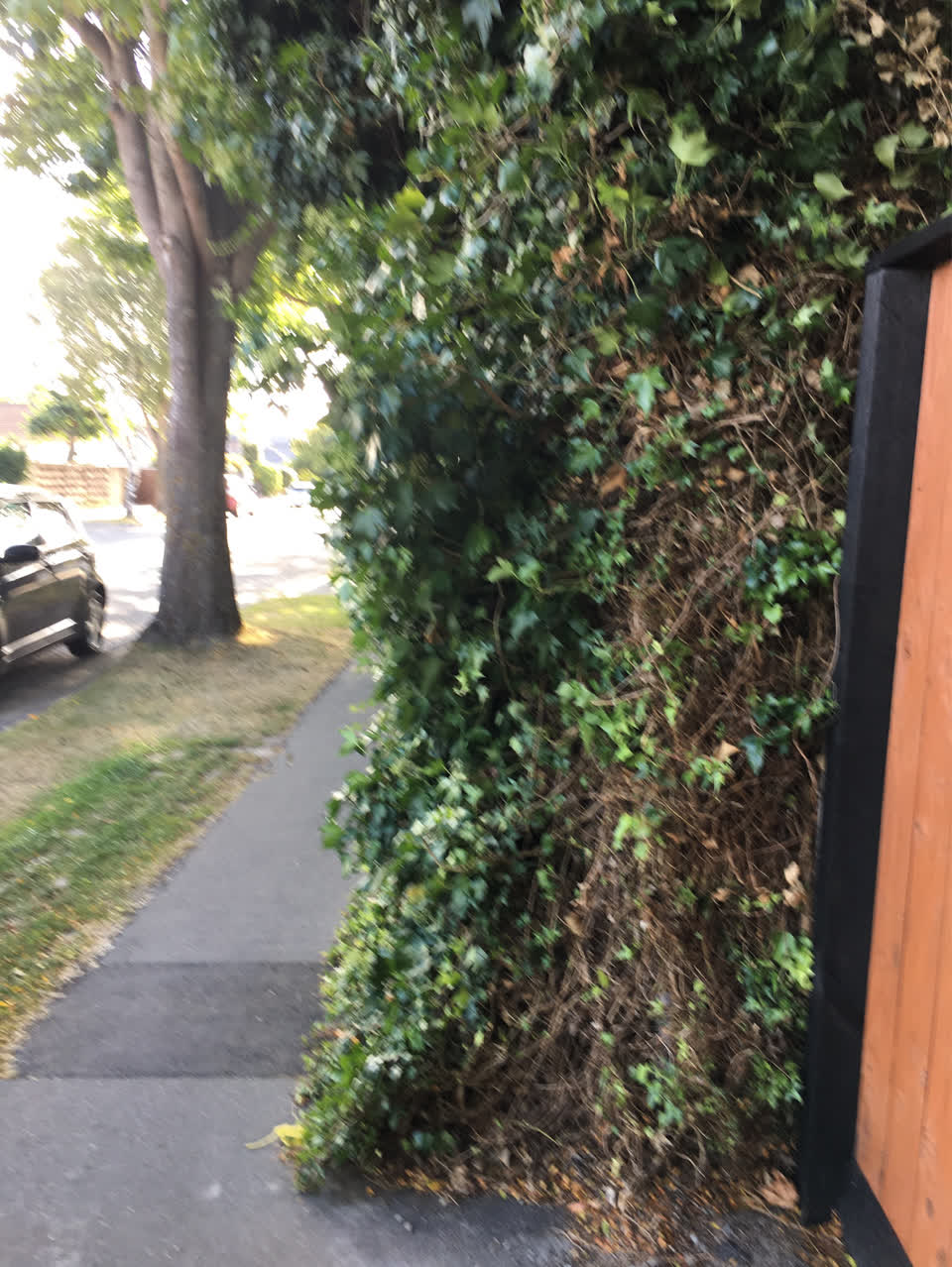 The photograph attached to this parks report