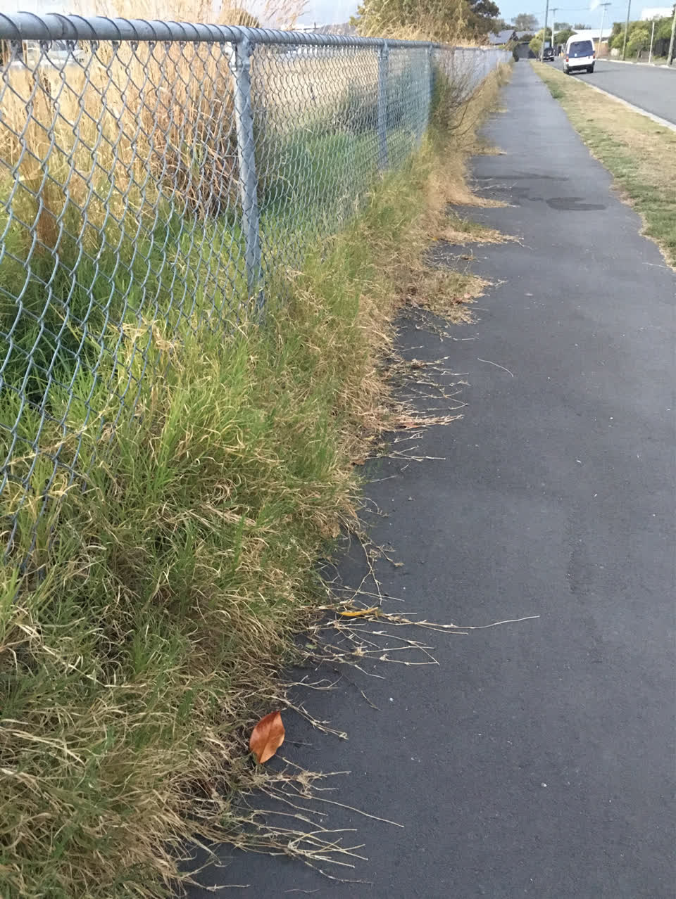 The photograph attached to this parks report