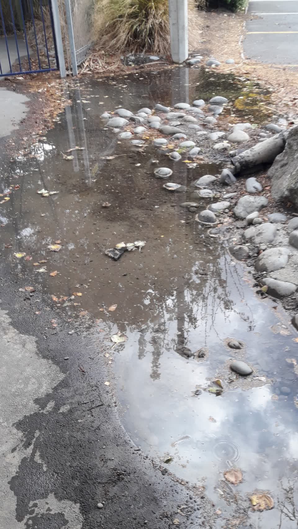 The photograph attached to this wastewater/stormwater report